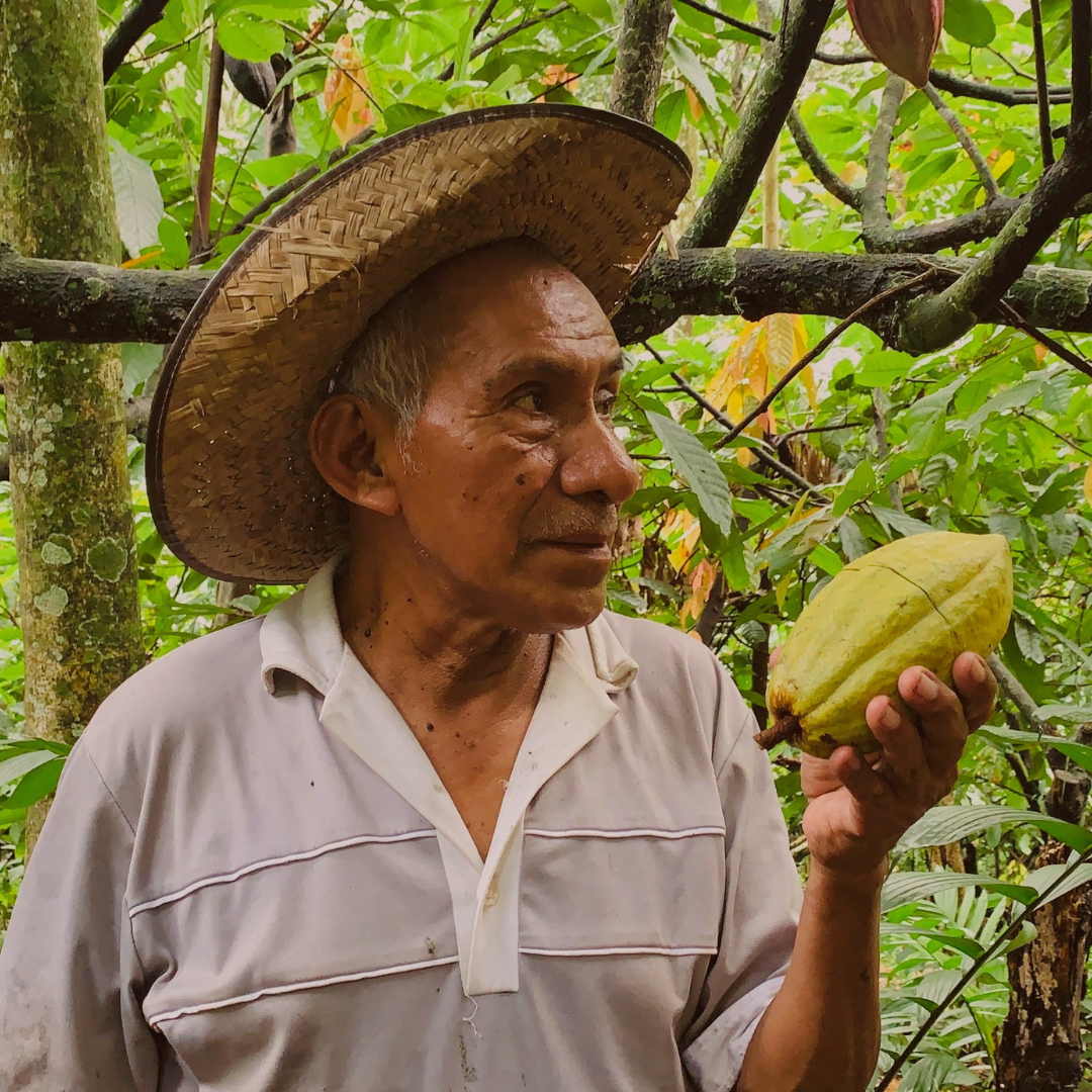 Agricultor de cacao