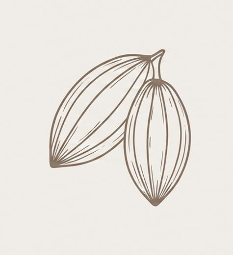Ceremonias de Cacao