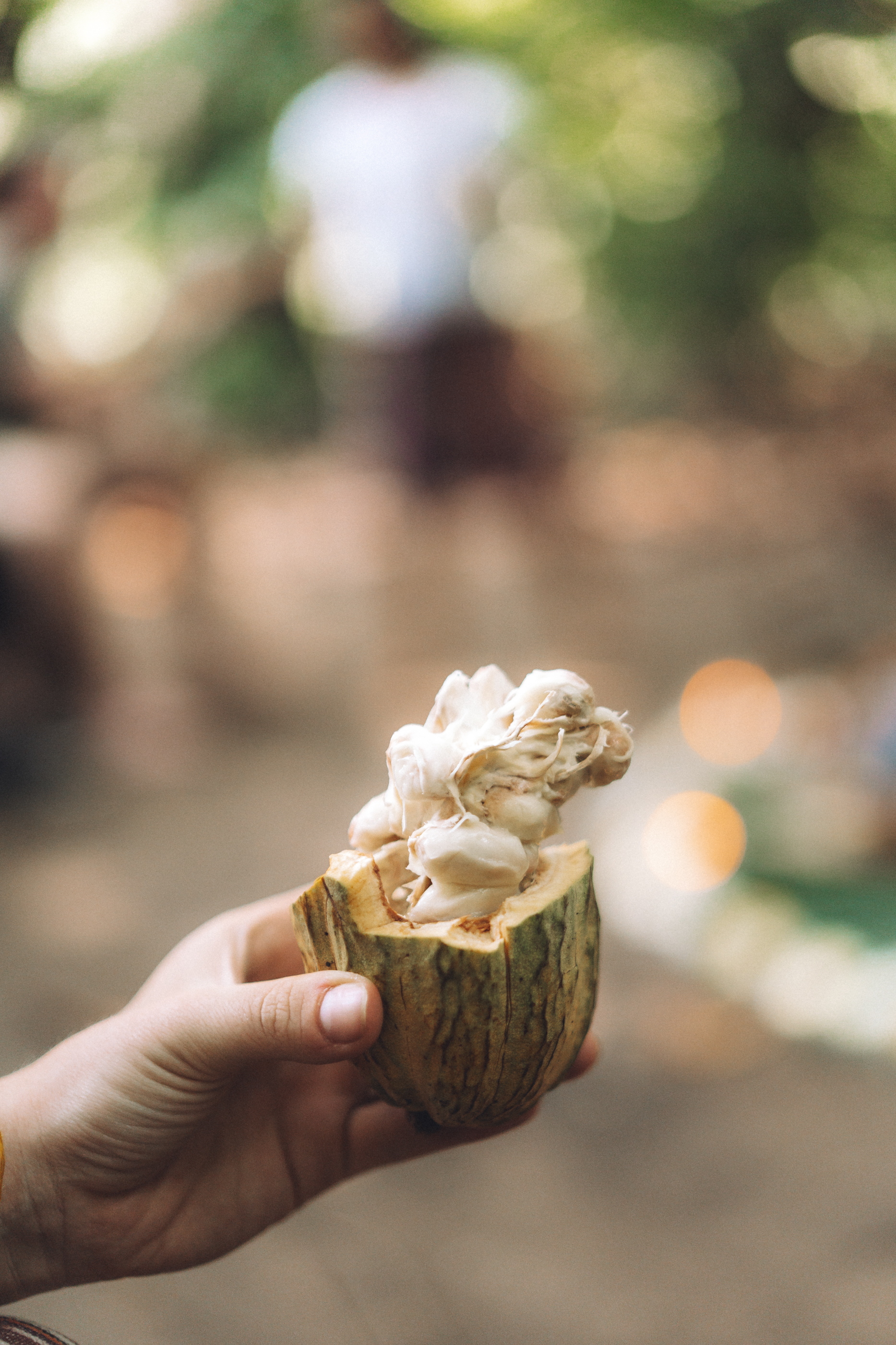 Cacao ritual preparation